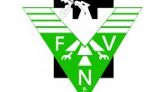 FVN